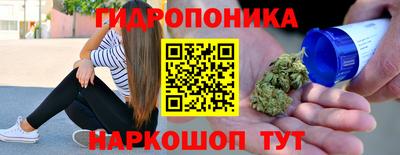 соль ск Бийск