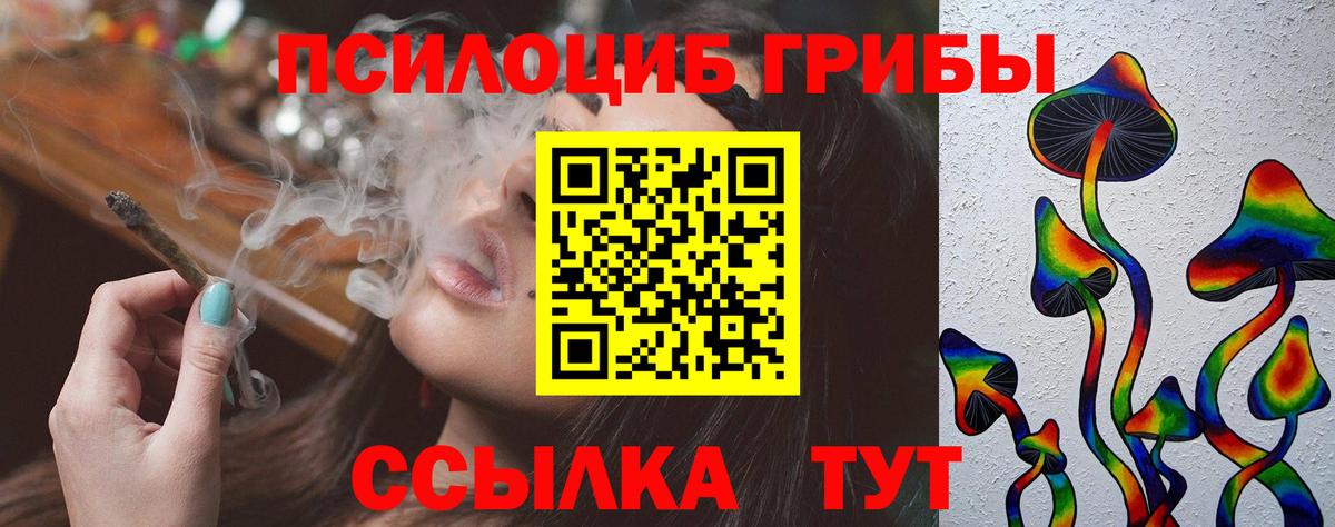Галлюциногенные грибы Cubensis  купить наркоту  Кашира  Вход с VPN 
