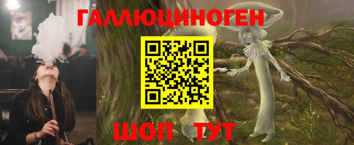 Галлюциногенные грибы Psilocybine cubensis Кашира